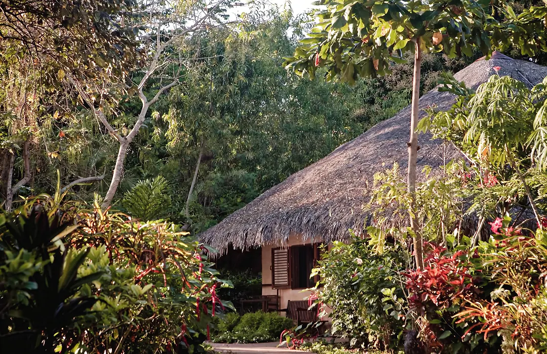 Ravintsara Wellness Hotel-1